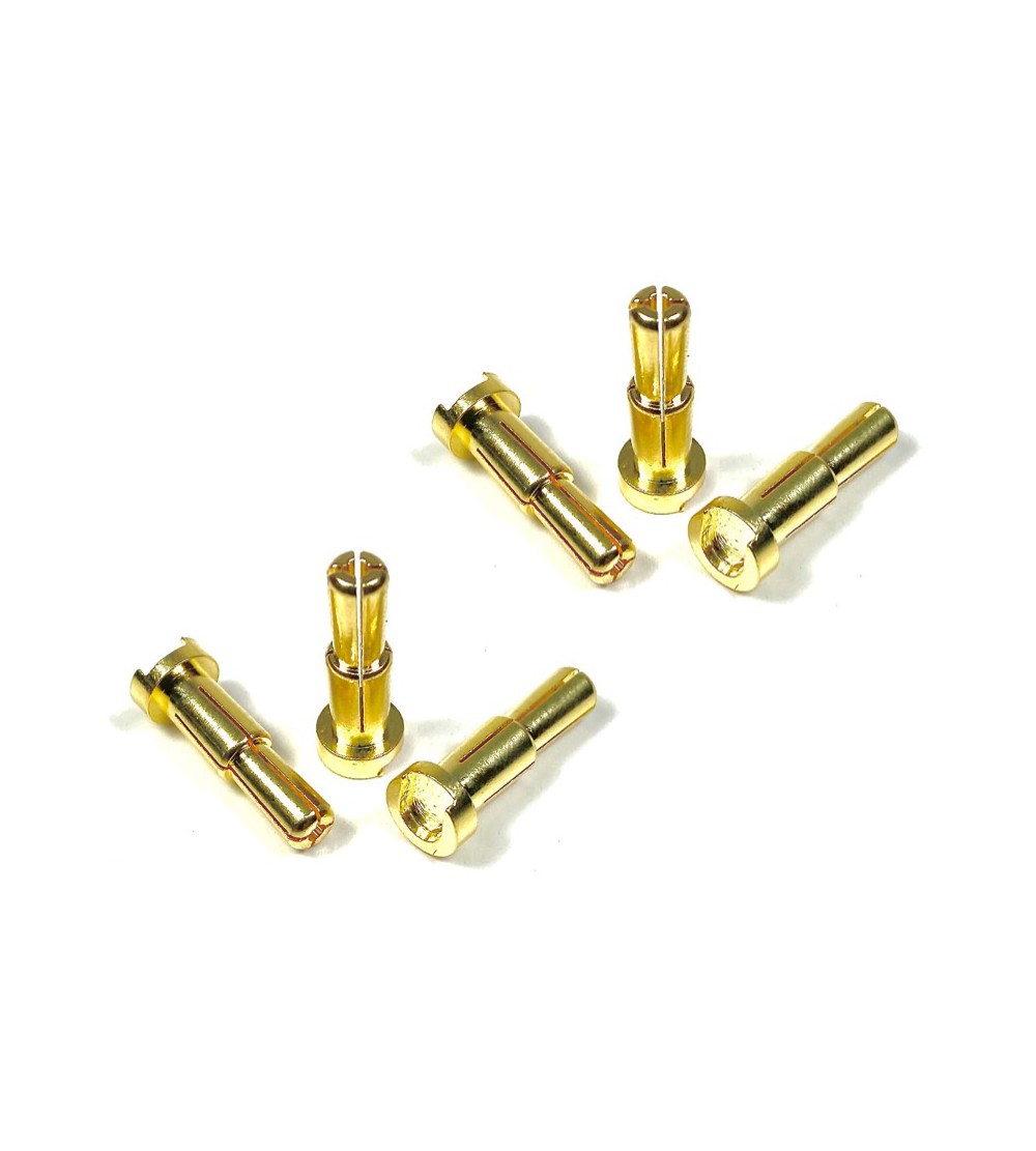 4/5mm Goldstecker (6)