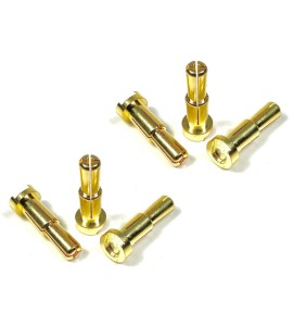 4/5mm Goldstecker (6)