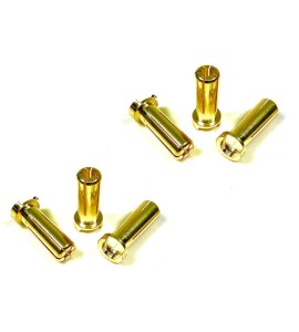 5mm Goldstecker (6)