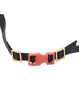 1:10 Dachträger Spanngurte (6)